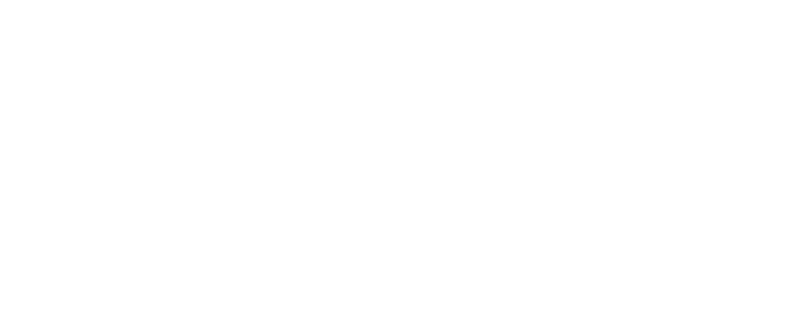 ALLOWCN Windows专业版